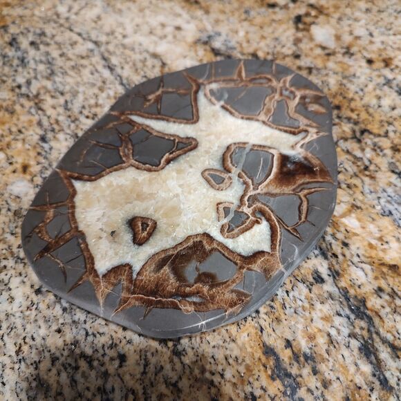 Vintage SEPTARIAN Nodule Slab Mineral With a Lightning Like Pattern - Picture 1 of 7